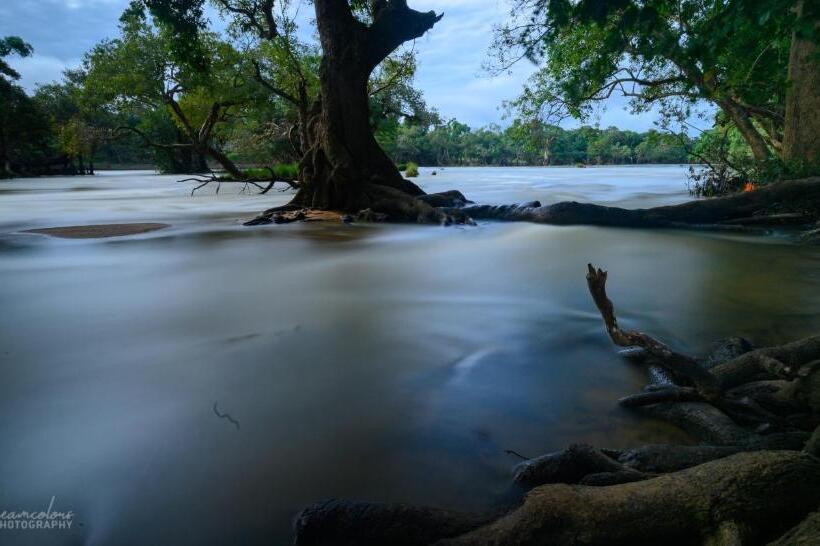 Отель The Excellency Resort & Spa, Coorg