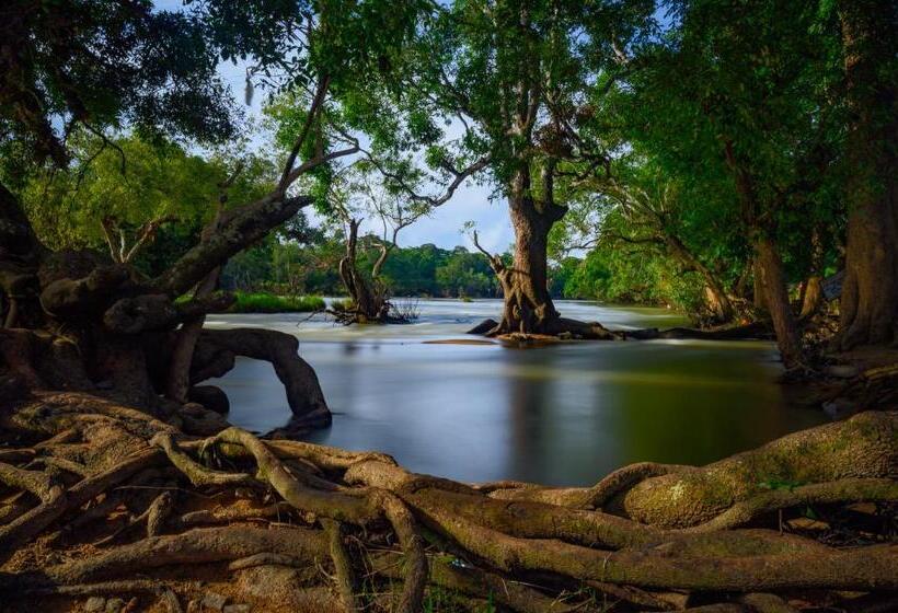 Отель The Excellency Resort & Spa, Coorg