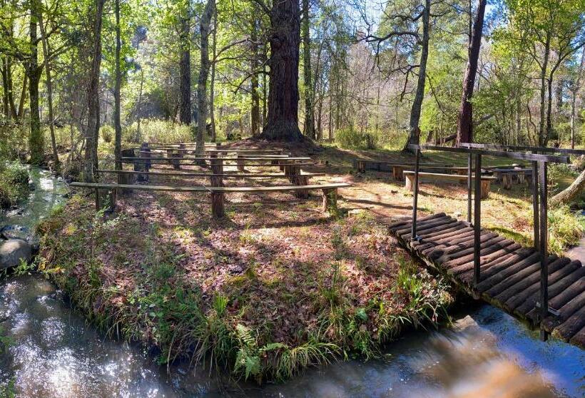 فندق The Historic Hogsback Inn