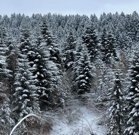 پانسیون Belvedere Karpaty Panorama