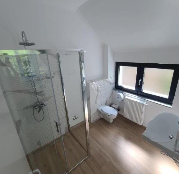 ペンション Băile Puturoasa