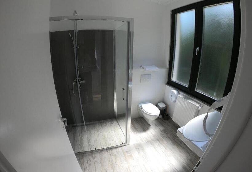 ペンション Băile Puturoasa