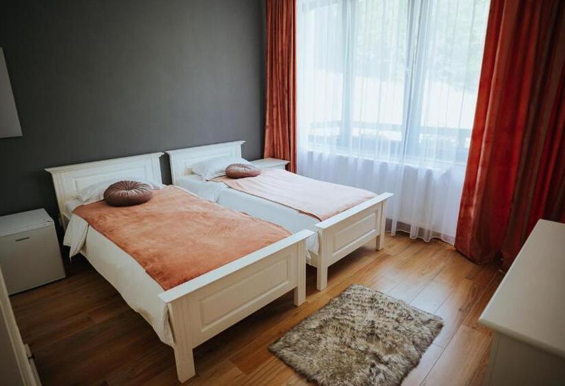 ペンション Băile Puturoasa