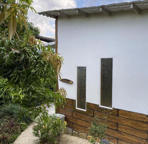 Пансион Cabañas Los Tulipanes