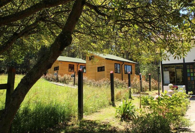 بنسيون El Hostel Granjero