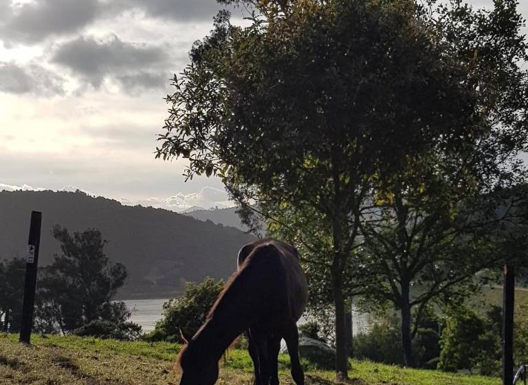 بنسيون El Hostel Granjero