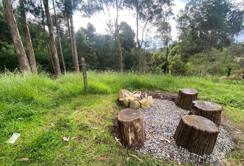 بنسيون El Hostel Granjero