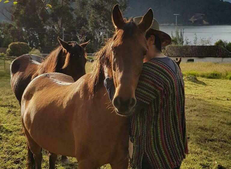 بنسيون El Hostel Granjero