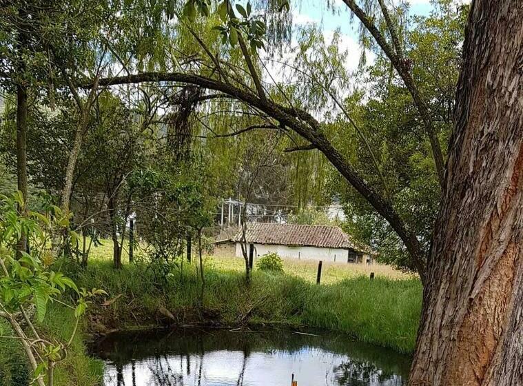 بنسيون El Hostel Granjero