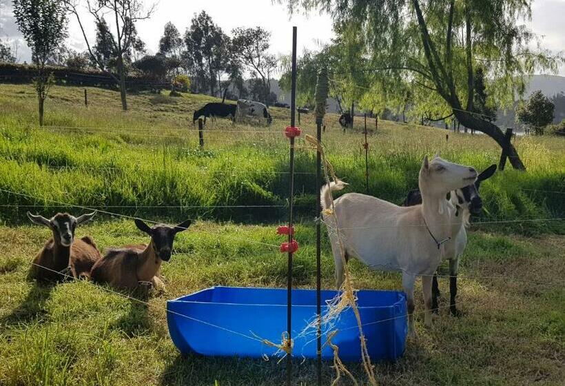 بنسيون El Hostel Granjero