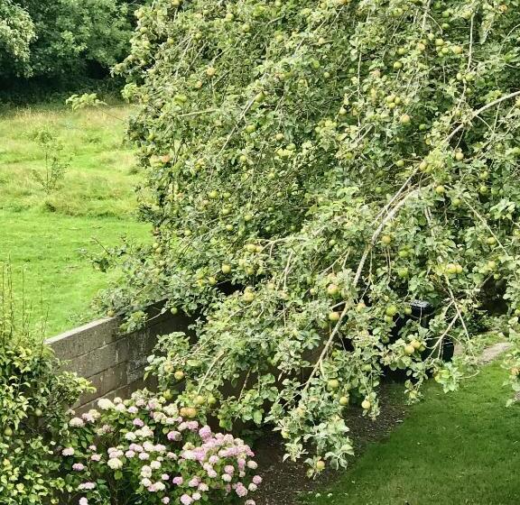 膳宿费 Fox View Guesthouse