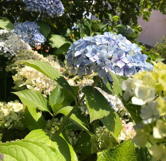 膳宿费 Fox View Guesthouse