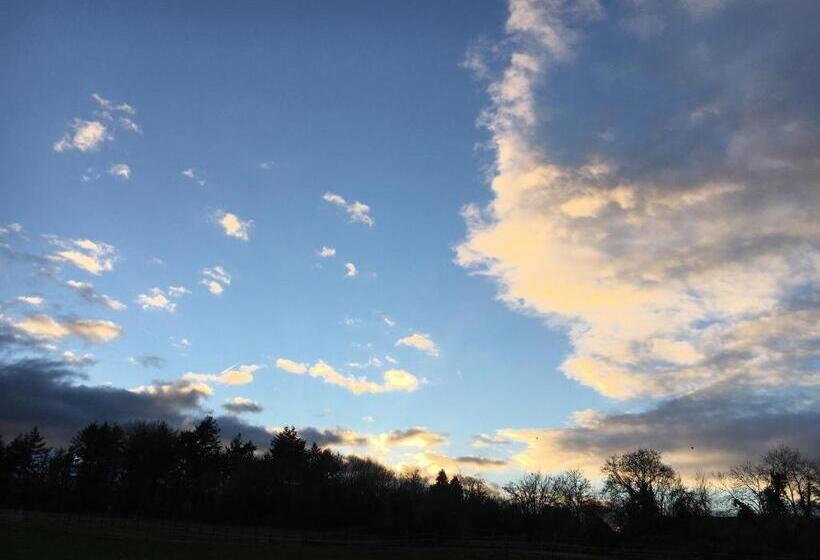 بنسيون Fox View Guesthouse