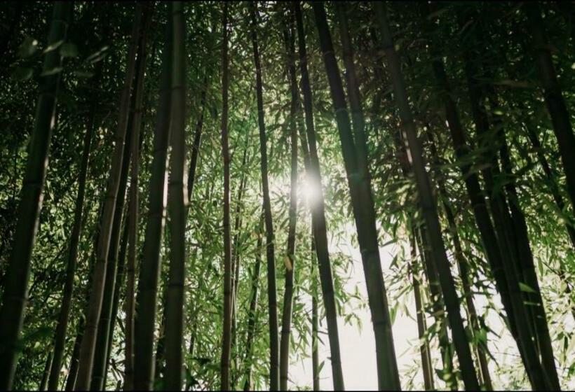 פנסיון Maison Durieux