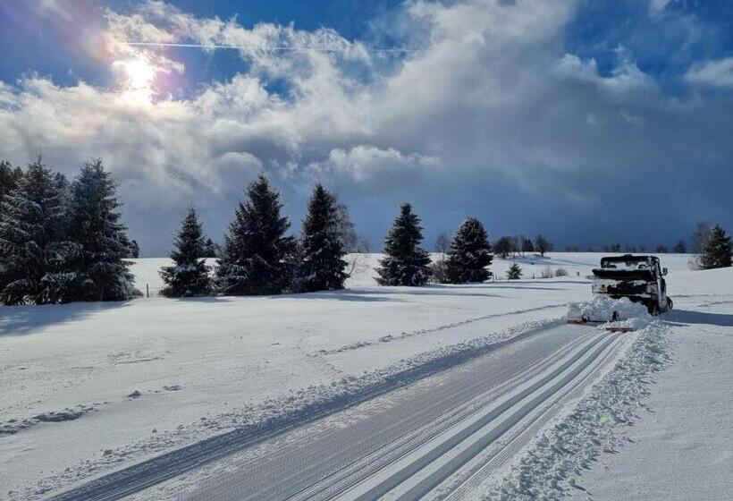 بنسيون Penzion Dobík Pasečná