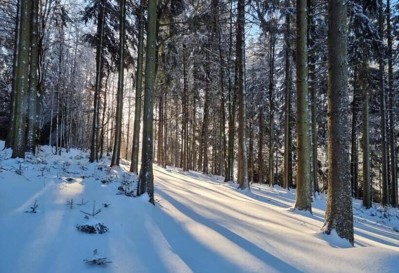 بنسيون Penzion Dobík Pasečná