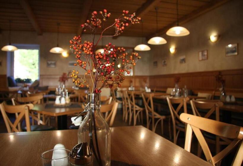 بنسيون Penzion Dobík Pasečná