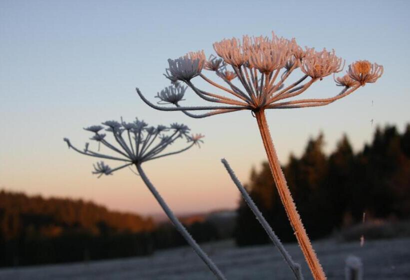 بنسيون Penzion Dobík Pasečná