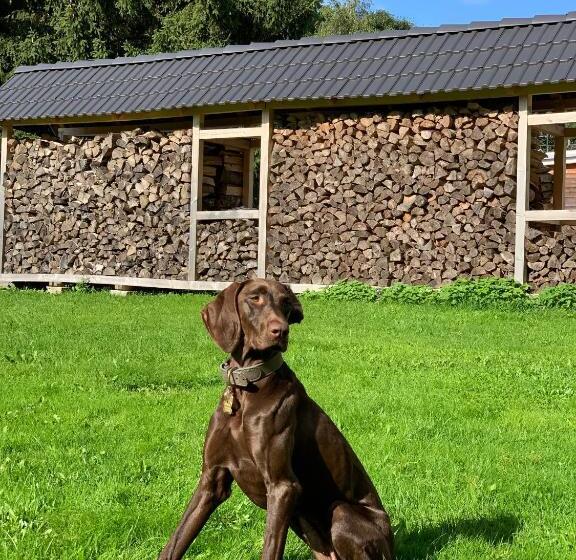 بنسيون Penzion Dobík Pasečná