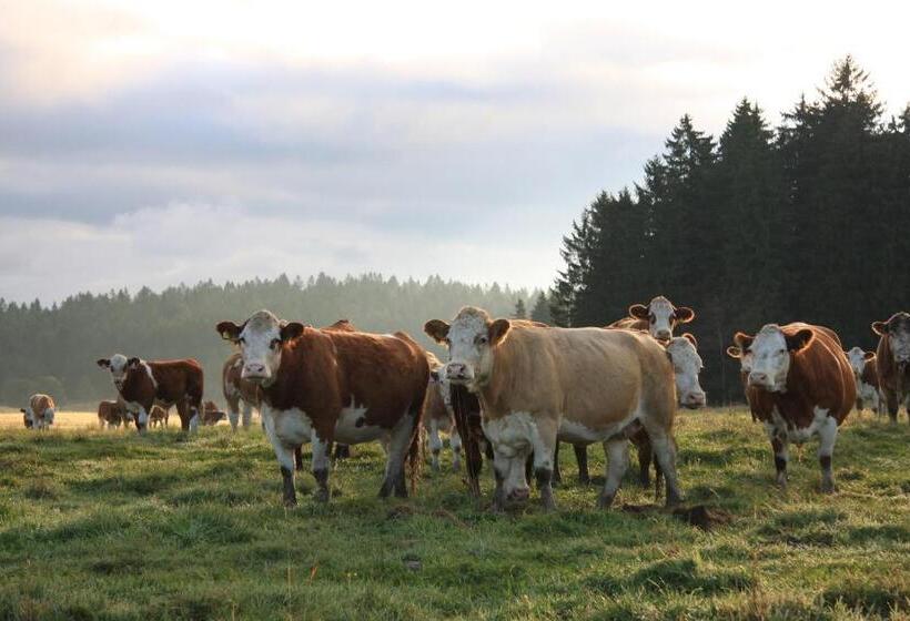 بنسيون Penzion Dobík Pasečná