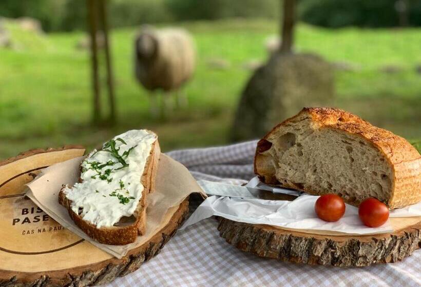 بنسيون Penzion Dobík Pasečná