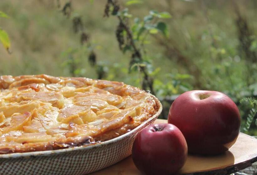 פנסיון Penzion Dobík Pasečná