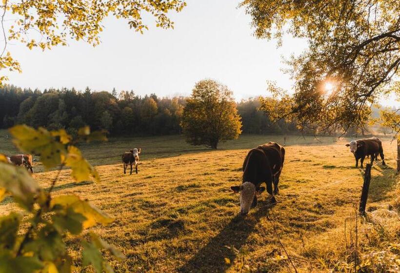 بنسيون Penzion Dobík Pasečná