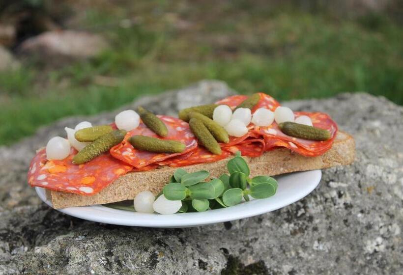 بنسيون Penzion Dobík Pasečná