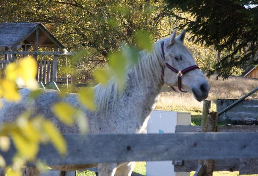 بنسيون Penzion Dobík Pasečná