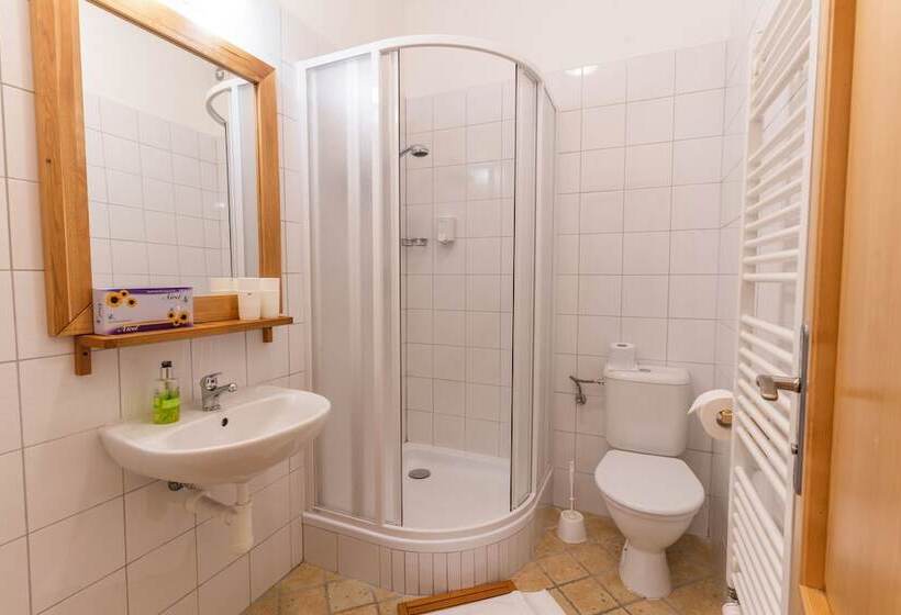 بنسيون Penzion Dobík Pasečná