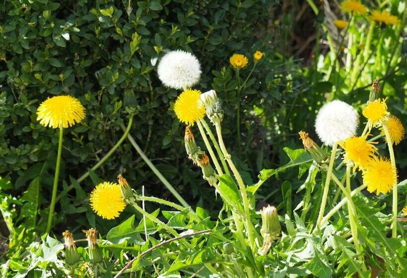 펜션 Vue Sur Gindou Gîte