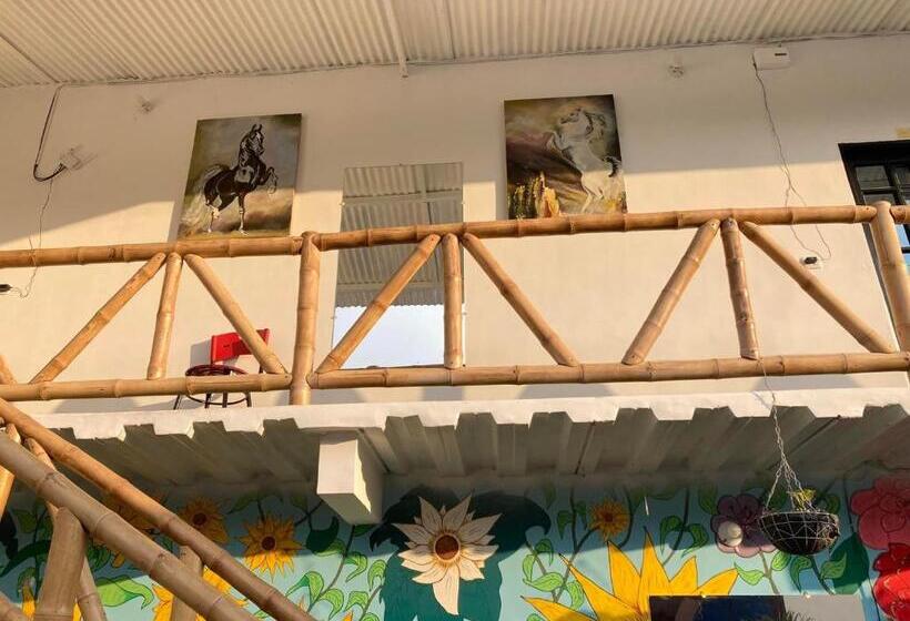 פנסיון Yamboró