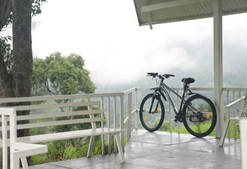 渡假胜地  Chow Chow Valley   Hostel