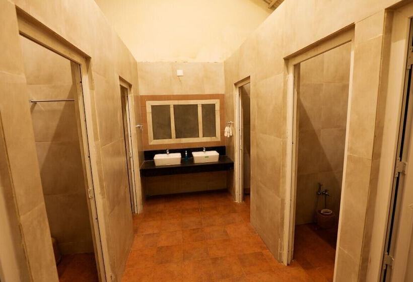 渡假胜地  Chow Chow Valley   Hostel