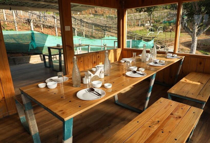 渡假胜地  Chow Chow Valley   Hostel