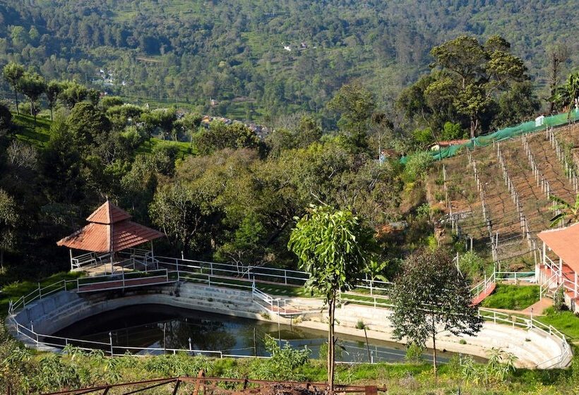 渡假胜地  Chow Chow Valley   Hostel