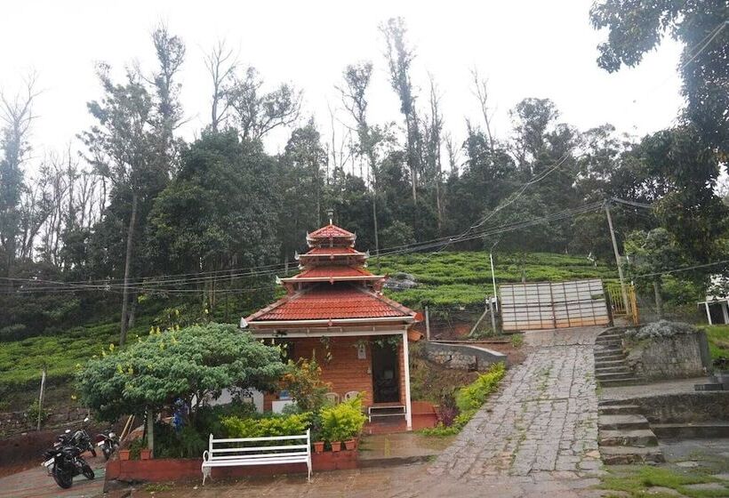 渡假胜地  Chow Chow Valley   Hostel