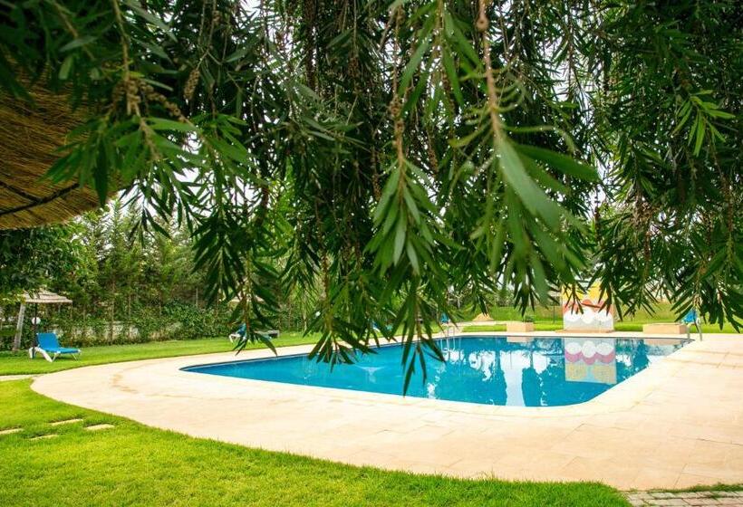 Résidence Hôtelière Riviera Beach