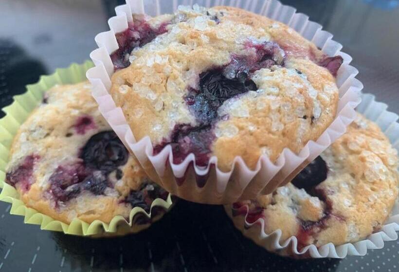 住宿加早餐 Franklyn Farm Inn