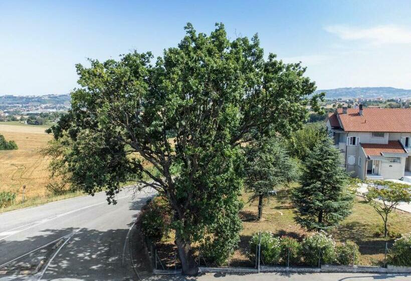 צימר Oak Tree 114 Bnb