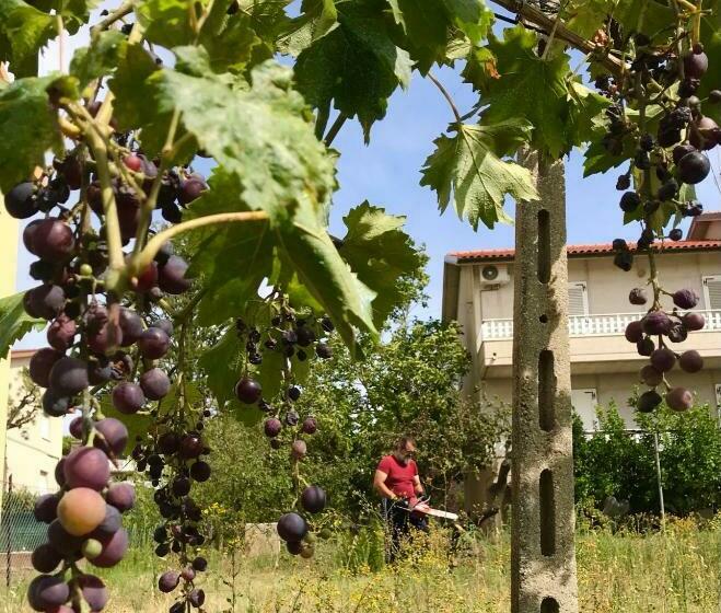 צימר Oak Tree 114 Bnb