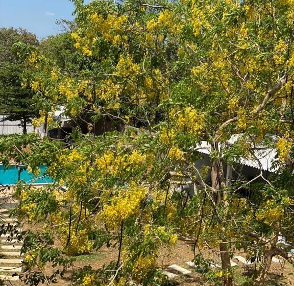 住宿加早餐 Sapphire Garden