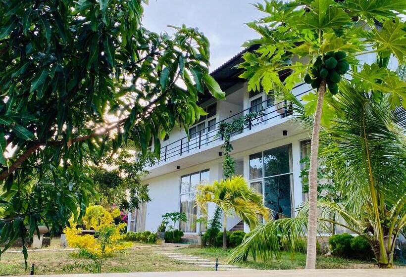 住宿加早餐 Sapphire Garden