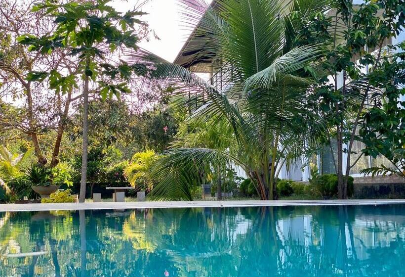 住宿加早餐 Sapphire Garden