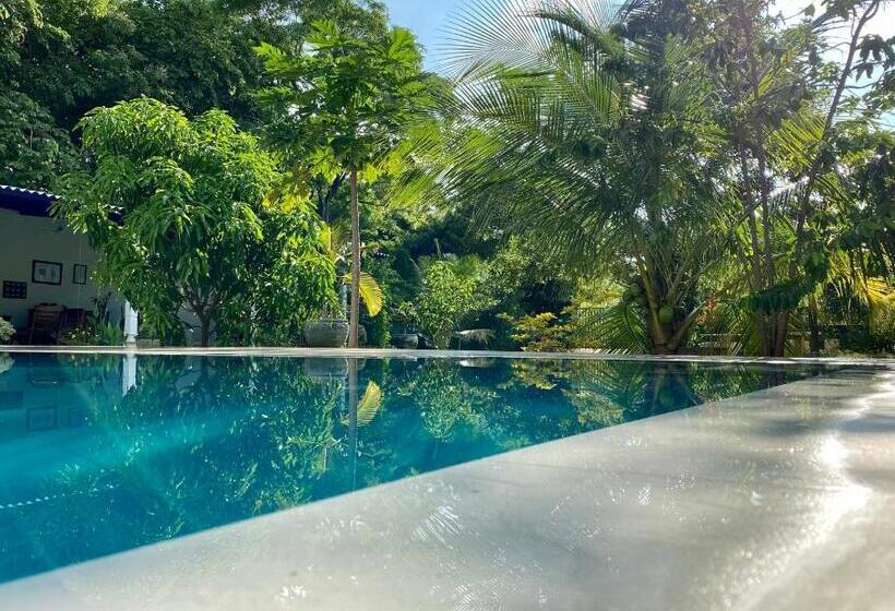 住宿加早餐 Sapphire Garden