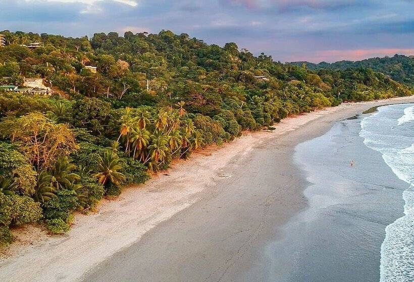 ベッドアンドブレックファースト Sunrise House