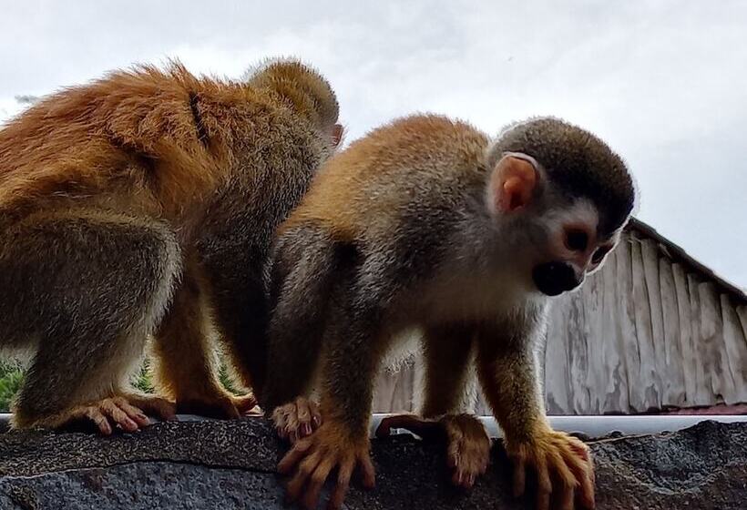 ベッドアンドブレックファースト Sunrise House