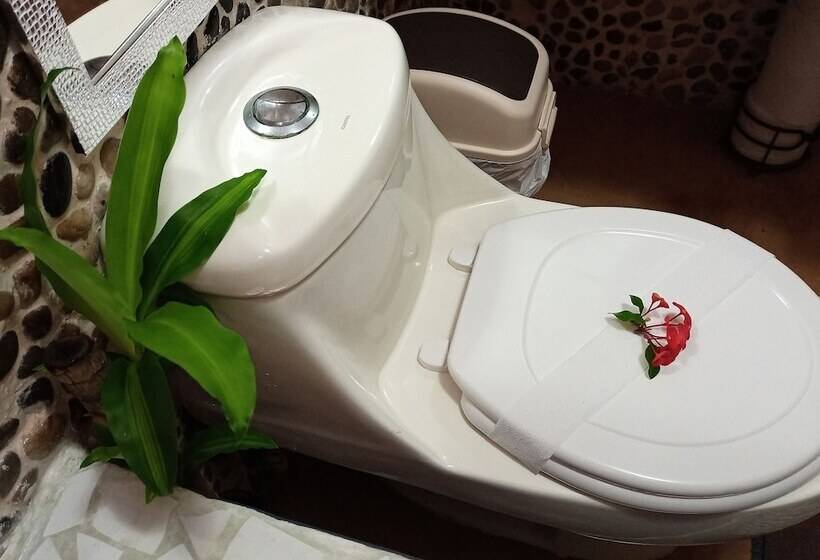 ベッドアンドブレックファースト Sunrise House