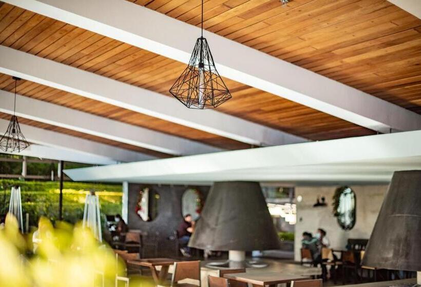 فندق Casa 1800 Cerro Verde