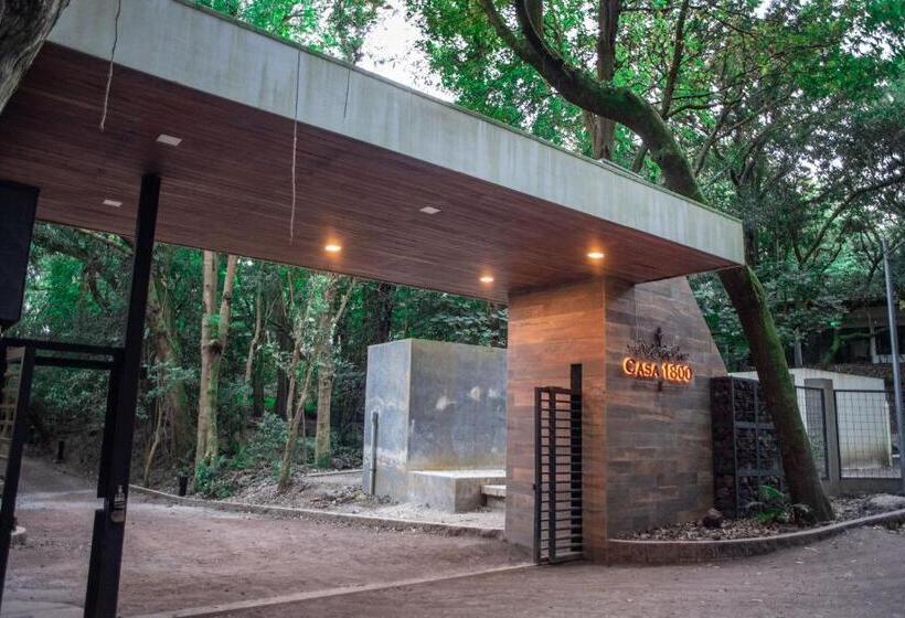 فندق Casa 1800 Cerro Verde